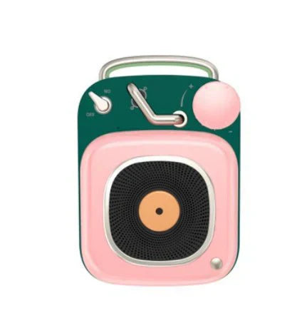 Portable Mini Speaker | مكبر صوت صغير محمول